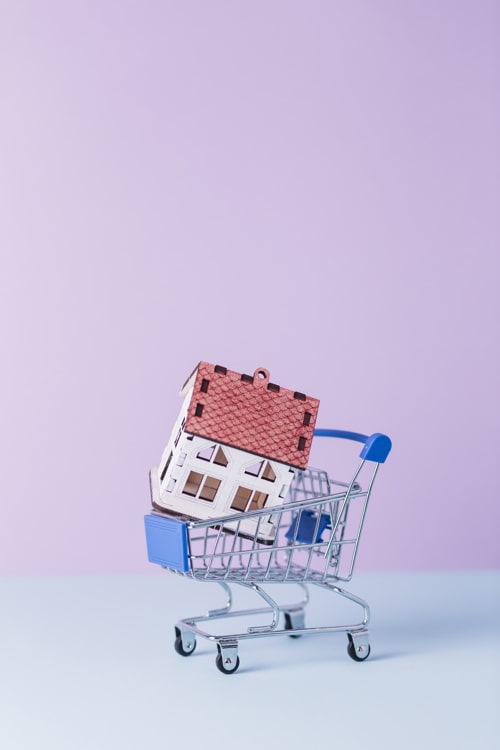 Close Up House Model Shopping Cart Min